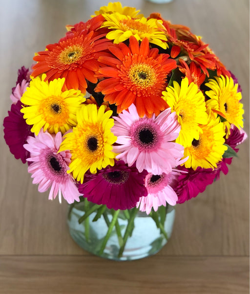 Deluxe Gerbera arrangement