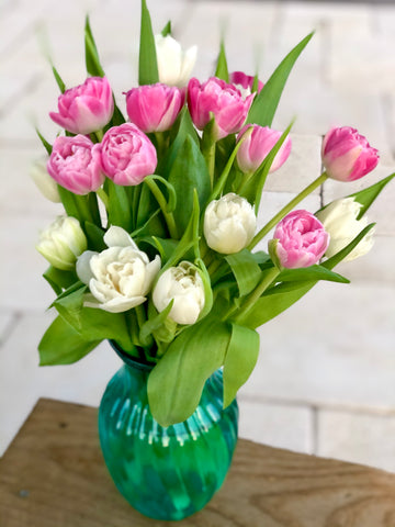 Pink and white tulips