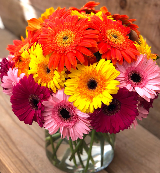 Deluxe Gerbera arrangement