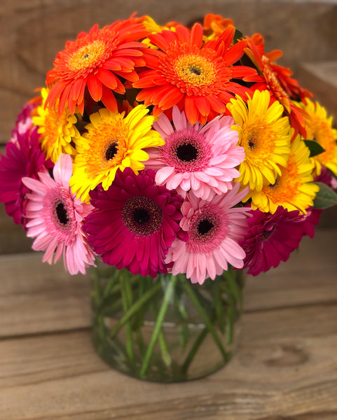 Deluxe Gerbera arrangement