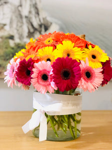 Deluxe Gerbera arrangement