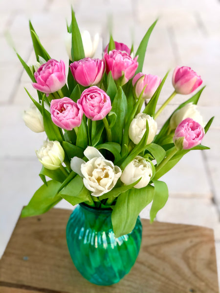 Pink and white tulips