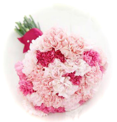 Elegant carnation bridal bouquet