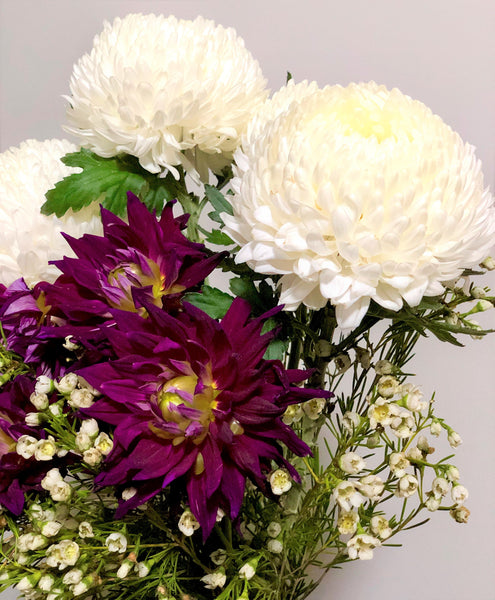 Purple Dahlia and white Chrysanthemums