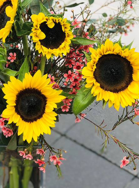 Sunflowers